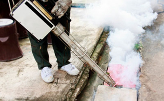 Innovative Exterminators Ltd