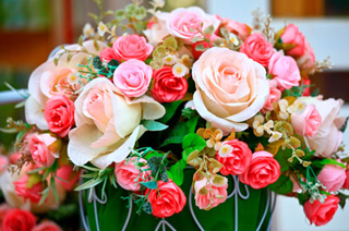 Flower Gallery Ltd