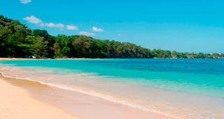 Coral Seas Garden Resort
